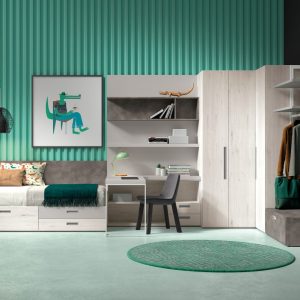 Ambiente dormitorio Juvenil